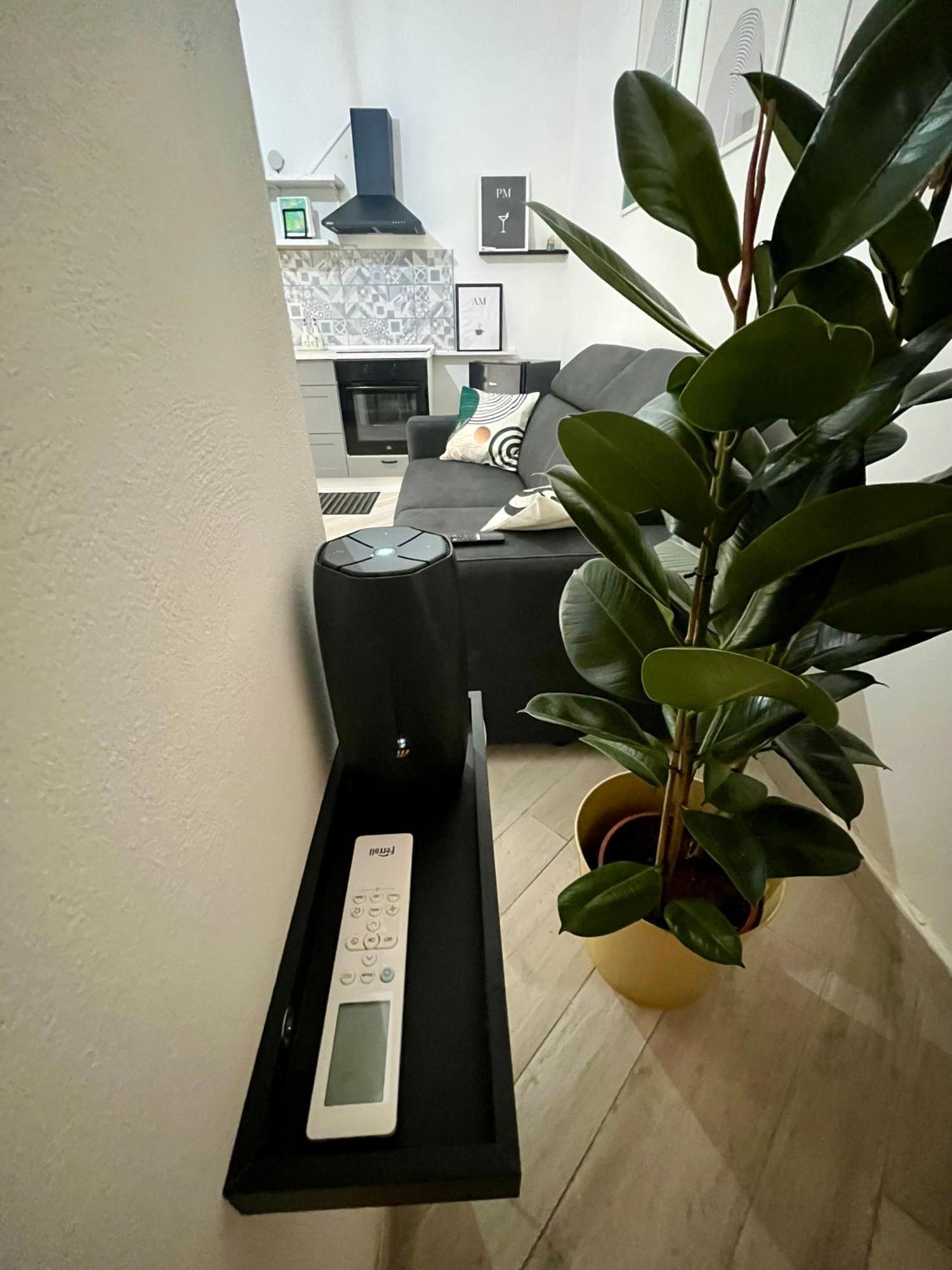 Apartament Casa Vale Parco Del Valentino Turyn Zewnętrze zdjęcie